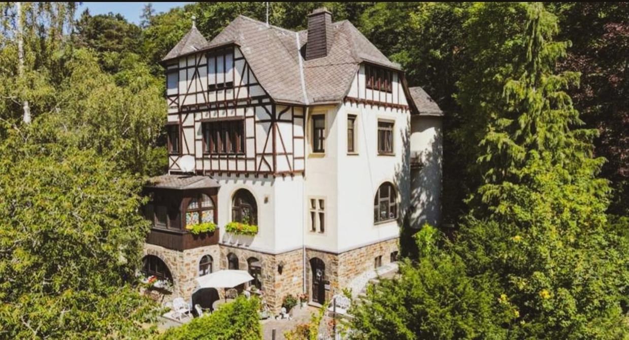 Ring Residenz In Adenau Direkt Am Nuerburgring B&B 외부 사진